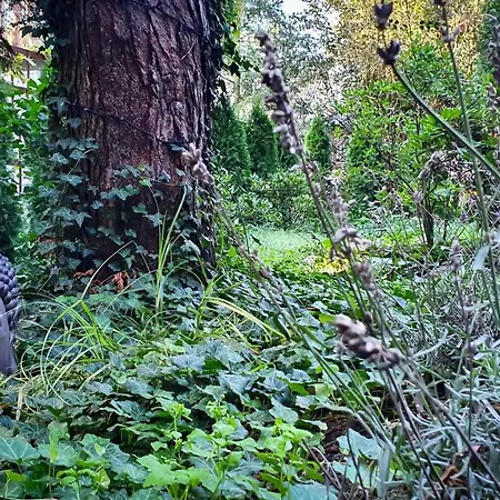 Lesniczowka בית נופש Oslonin