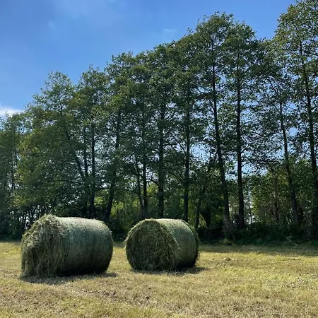 בית נופש Lesniczowka Oslonin