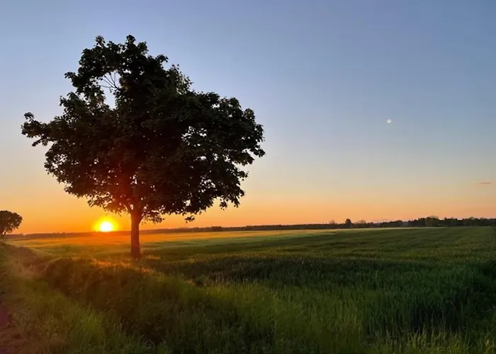 بيت للعطل Lesniczowka